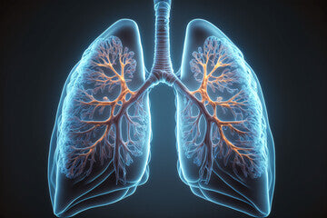 Indoor Respiratory Allergy Panel